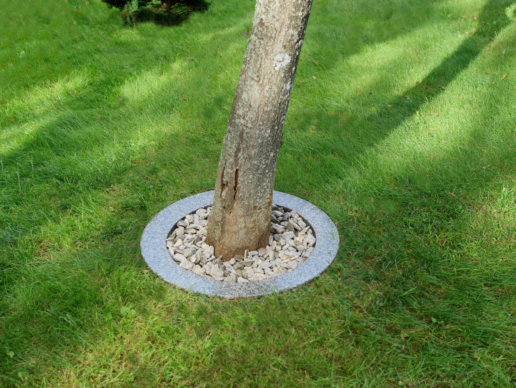 Krok 3: Wypełnienie ozdobne